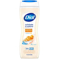 Dial Exfoliate & Restore Body Wash - Orange Extract & Cocoa Butter - 16 fl oz: Whole Body, Paraben-Free, Hydrating, Plastic Bottle